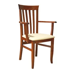Jedálenská stolička D 3624/K