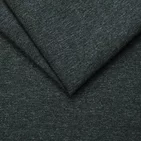 POLARIS 13